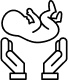 Vector (1) Vector (1)